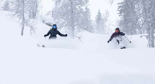 Personer kjører fjellski